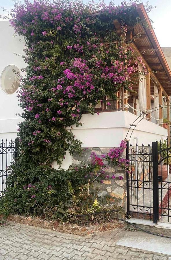 Beautiful Beach House Геракини Екстериор снимка